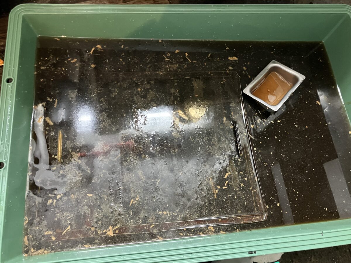 焼肉屋フード清掃の様子